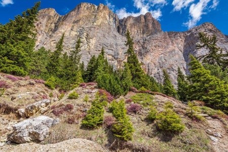 Schloss Hotel & Club Dolomiti - 26