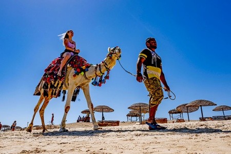 Gorgonia Beach Resort - 10