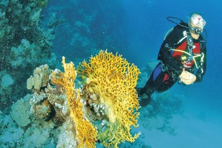 Gorgonia Beach Resort - 29