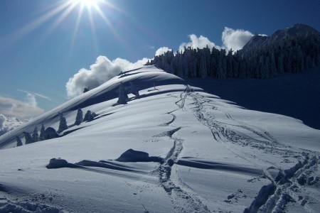Montana (Monte Bondone)
