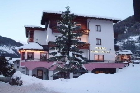 Stella Alpina