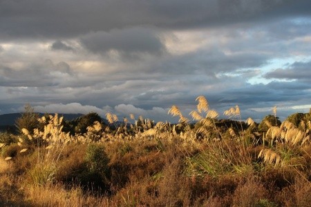 Nový Zéland - Velký okruh - 98