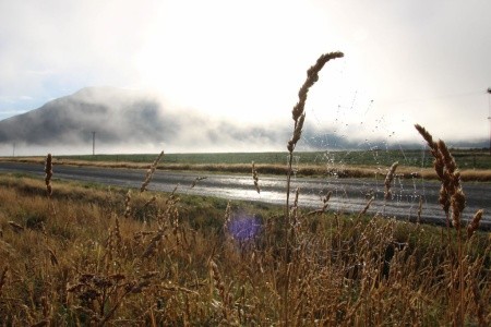 Nový Zéland - Velký okruh - 24