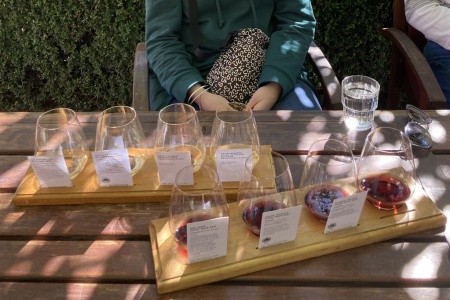 Nový Zéland - Velký okruh - 22