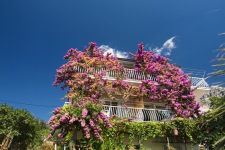 Apartmány Radojka - 35