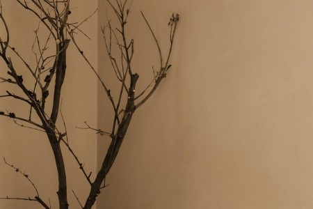 Grécko Kréta Momi Slow Living Resort 11 dňový pobyt All Inclusive Letecky Letisko: Viedeň October 2025 (16/10/25-26/10/25)