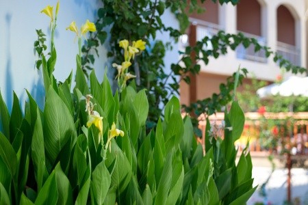 Katrin Hotel & Bungalovy - 33