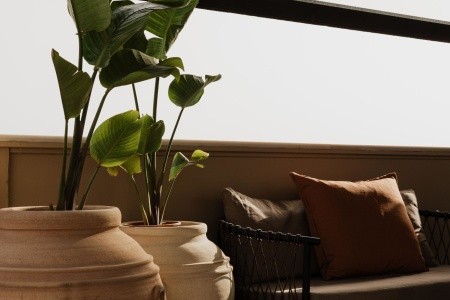 Grécko Kréta Momi Slow Living Resort 11 dňový pobyt All Inclusive Letecky Letisko: Viedeň October 2025 (16/10/25-26/10/25)