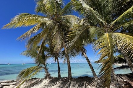 Dominikánská republika - poznávání, lehká turistika, relax - 22