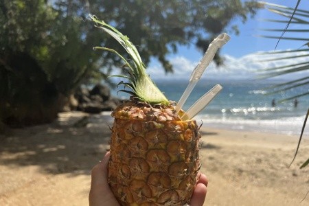 Dominikánská republika - poznávání, lehká turistika, relax - 28