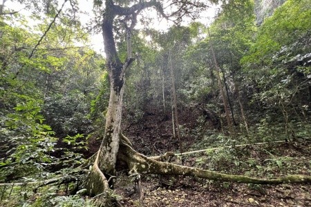 Dominikánská republika - poznávání, lehká turistika, relax - 47