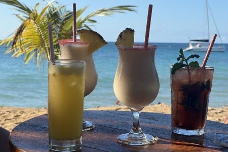 Dominikánská republika - poznávání, lehká turistika, relax - 56