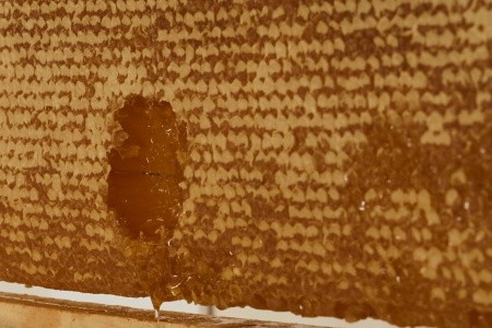 Uzenie All Suites Boutique Resort (Ex. Galeana Mare) - 191