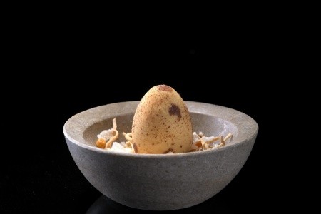 Elysium Resort And Spa - 294