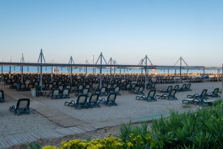 Side Crown Serenity - 163