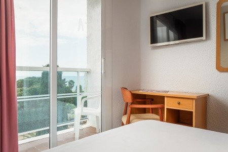 Alegria Cartago Nova - 79