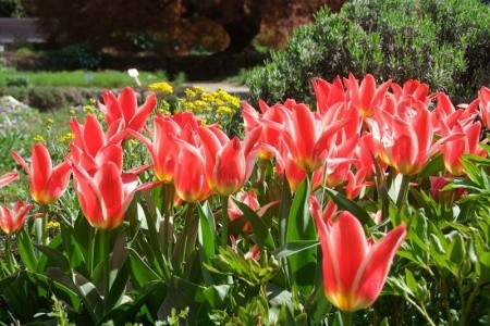 Křížem krajem nejen Dunajem - 41