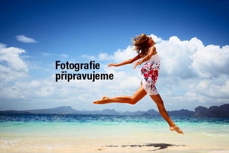 Hippocampus