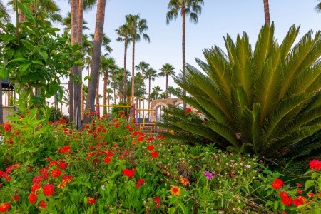 Turecko Turecká riviéra Meryan 11 dňový pobyt Ultra All inclusive Letecky Letisko: Praha July 2026 (25/07/26- 4/08/26)