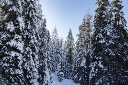 Blu Hotel Acquaseria - 9