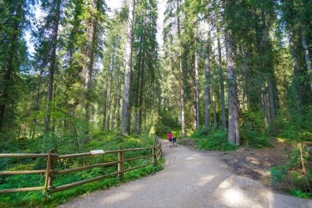 Monzoni (Moena) - 26