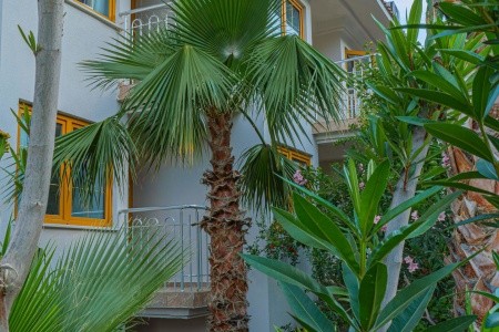 Dream Of Ölüdeniz (Ex. Dorian) - 92