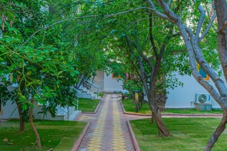 Dream Of Ölüdeniz (Ex. Dorian) - 93