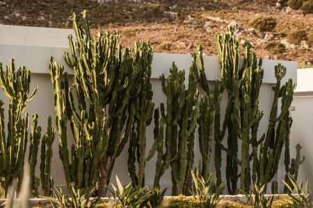 Casa Cook Rhodes (Ex. Sunprime White Pearl) - 186