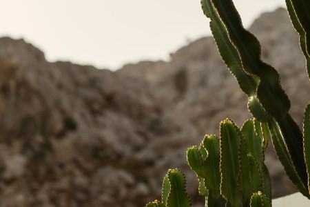 Casa Cook Rhodes (Ex. Sunprime White Pearl) - 188