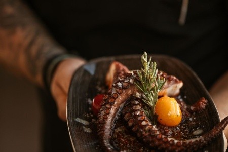 Casa Cook Rhodes (Ex. Sunprime White Pearl) - 198