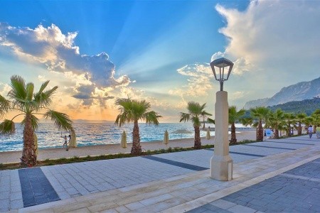 Medora Auri (Ex. Minerva) - 4