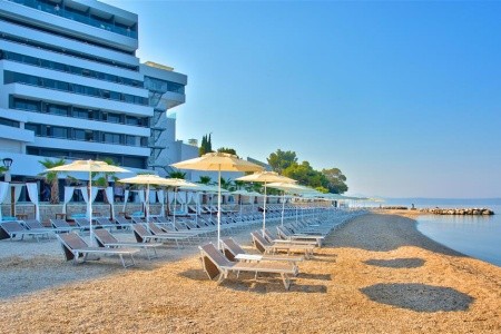 Medora Auri (Ex. Minerva) - 7