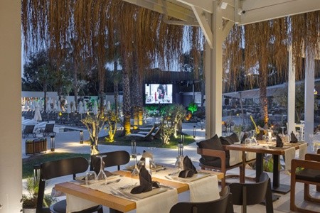 Berry Blue (Ex. Maya World Side) - 75