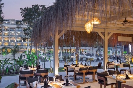 Berry Blue (Ex. Maya World Side) - 77