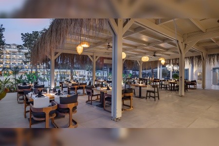 Berry Blue (Ex. Maya World Side) - 78