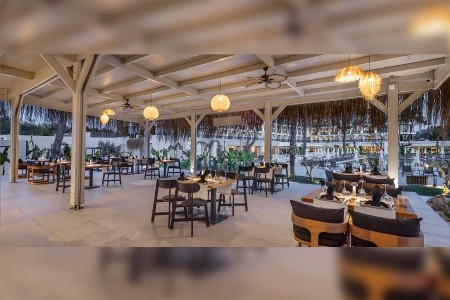 Berry Blue (Ex. Maya World Side) - 79