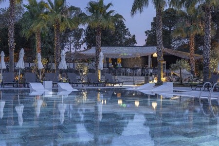 Berry Blue (Ex. Maya World Side) - 97