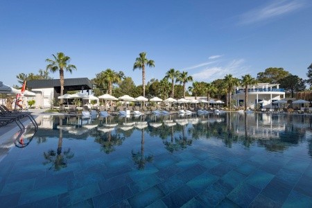 Berry Blue (Ex. Maya World Side) - 100