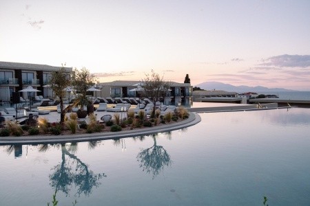 King Jason Zante - 202