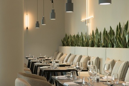 King Jason Zante - 216