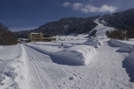 Harfenwirt (Niederau) - 5