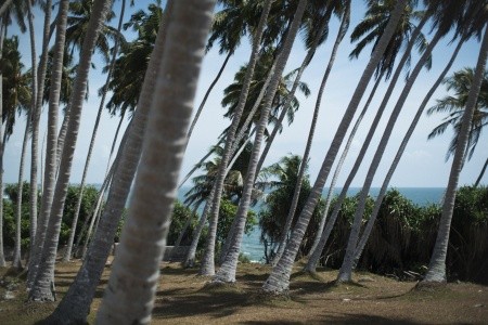 Srí Lanka Kalutara Anantara Kalutara 9 dňový pobyt Polpenzia Letecky Letisko: Praha February 2026 ( 3/02/26-11/02/26)