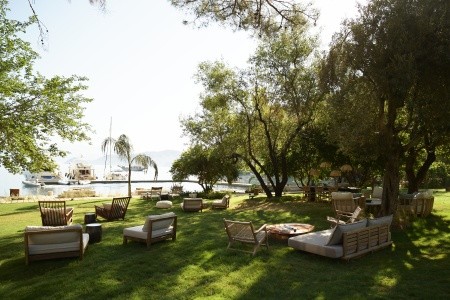 Yazz Collective - 13