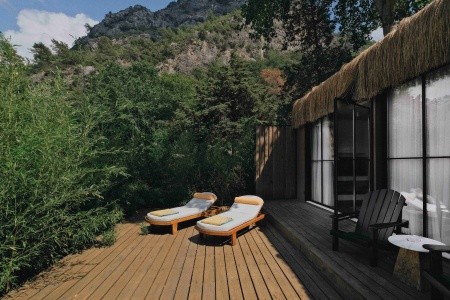 Yazz Collective - 26