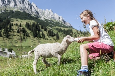 Marco Polo Club Alpina - 29