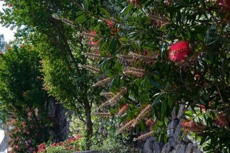 Albergo Terme San Lorenzo - 29