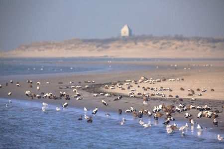 POHÁDKOVÉ DÁNSKO - 11