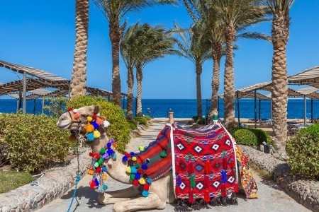 Sphinx Aqua Park Beach Resort - 12