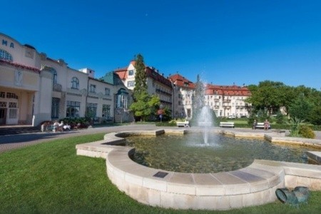 Thermia Palace Health Spa - 5