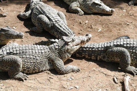 Memories Miramar, Selectum Family Resort Varadero - 15